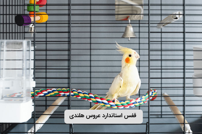 قفس استاندارد عروس هلندی