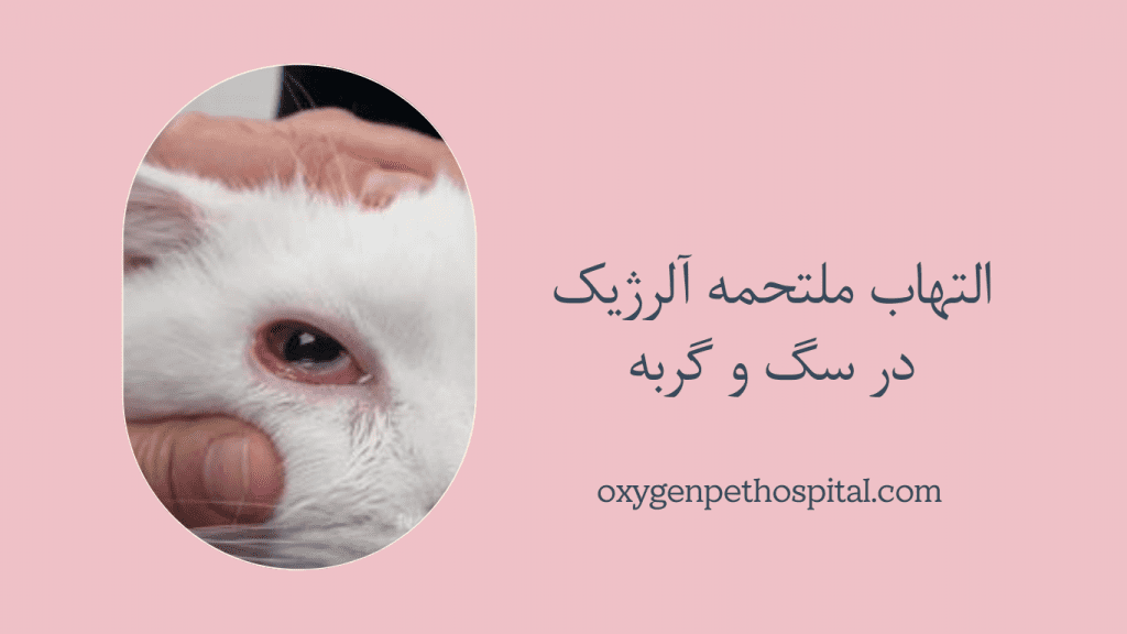 التهاب ملتحمه آلرژیک