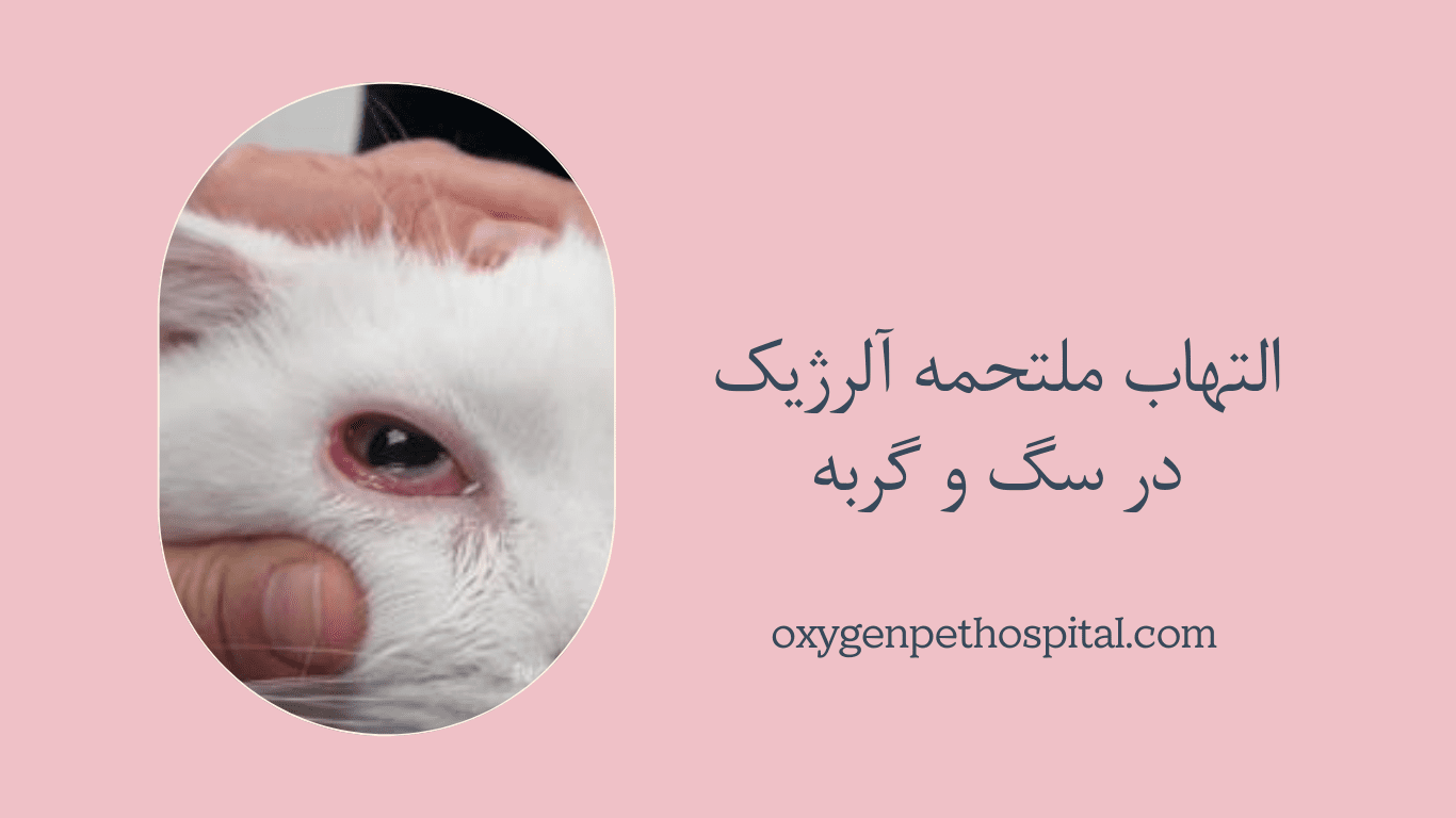 التهاب ملتحمه آلرژیک