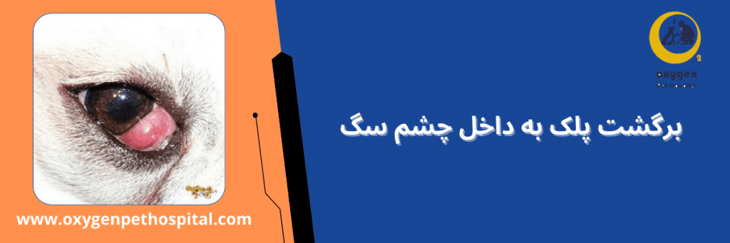 پلک‌ها به جای قرار گرفتن در موقعیت طبیعی، به سمت داخل می‌چرخند. همین چرخش غیرطبیعی باعث می‌شود که مژه‌ها یا موهای اطراف پلک با سطح قرنیه تماس پیدا کنند