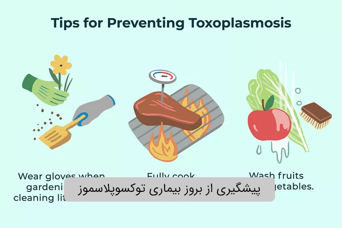 پیشگیری از بروز بیماری توکسوپلاسموز
