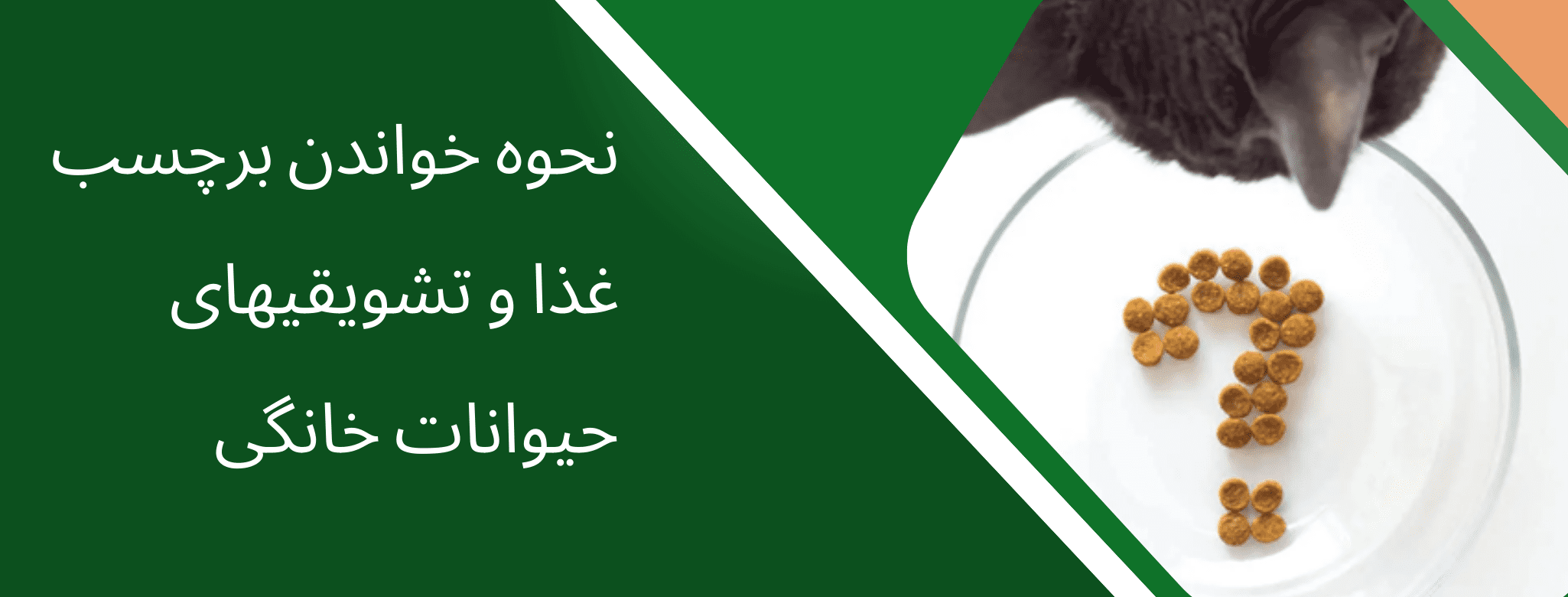نحوه خواندن برچسب غذا و تشویقی های حیوانات خانگی