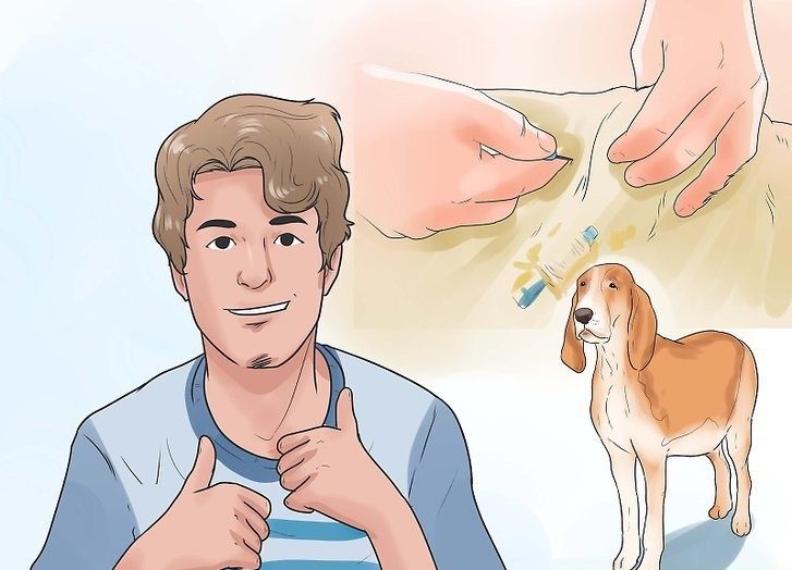 توجه داشته باشید که میکروچیپ بر سلامت سگ شما تأثیری ندارد