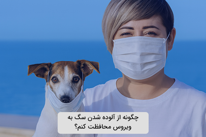 چگونه می‌توانم از ابتلای سگم به بیماری‌های ویروسی جلوگیری کنم؟