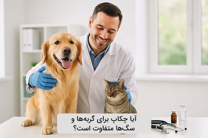 آیا چکاپ برای گربه‌ها و سگ‌ها متفاوت است؟