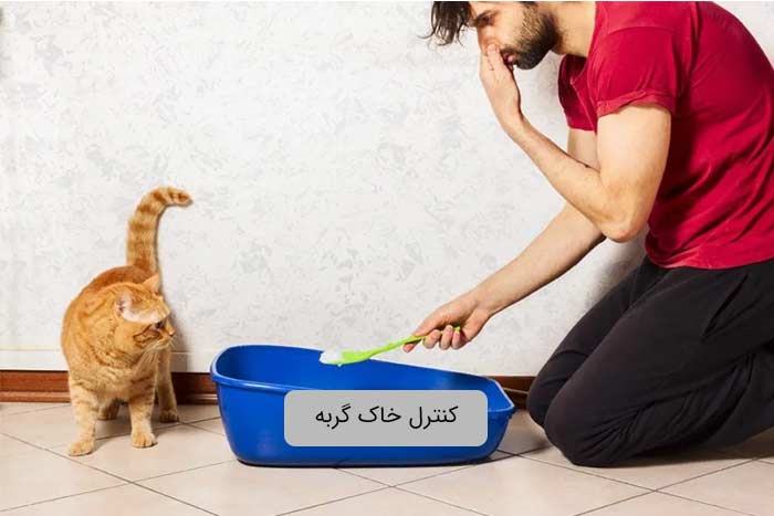 کنترل بو خاک گربه