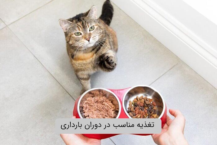 تغذیه مناسب در دوران بارداری