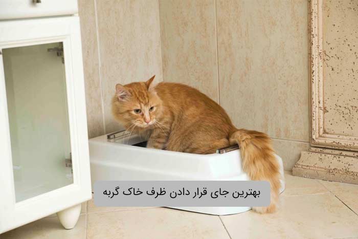 بهترین جای قرار دادن ظرف خاک