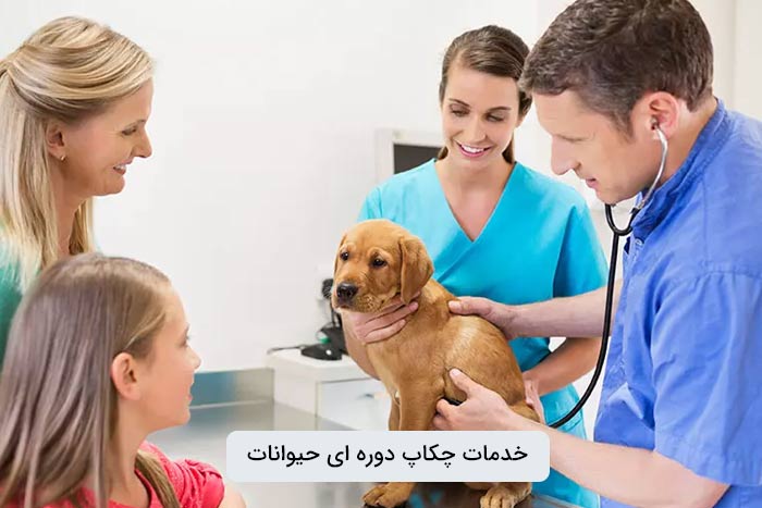 خدمات ارائه شده در حین انجام چکاپ